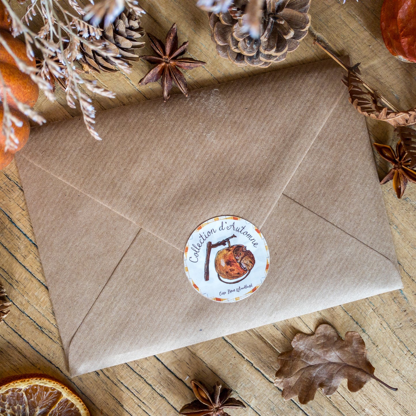 Lot 10 Cartes Collection Automne Cosy