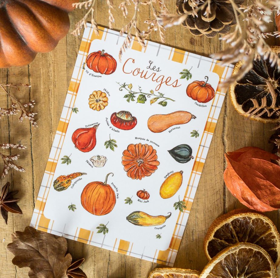 Lot 7 Cartes recettes d'Automne