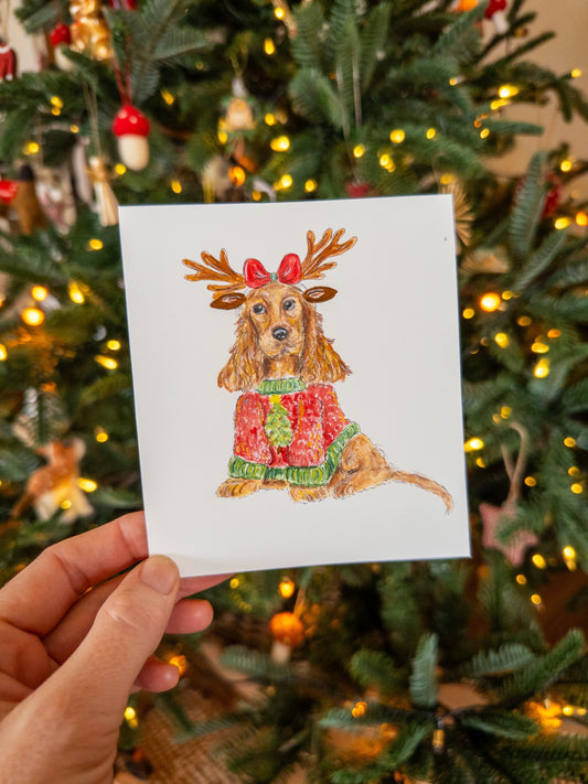 Mon journal de décembre 2025 🎄 Mon bilan de l'année pro, perso, lectures et jardin !