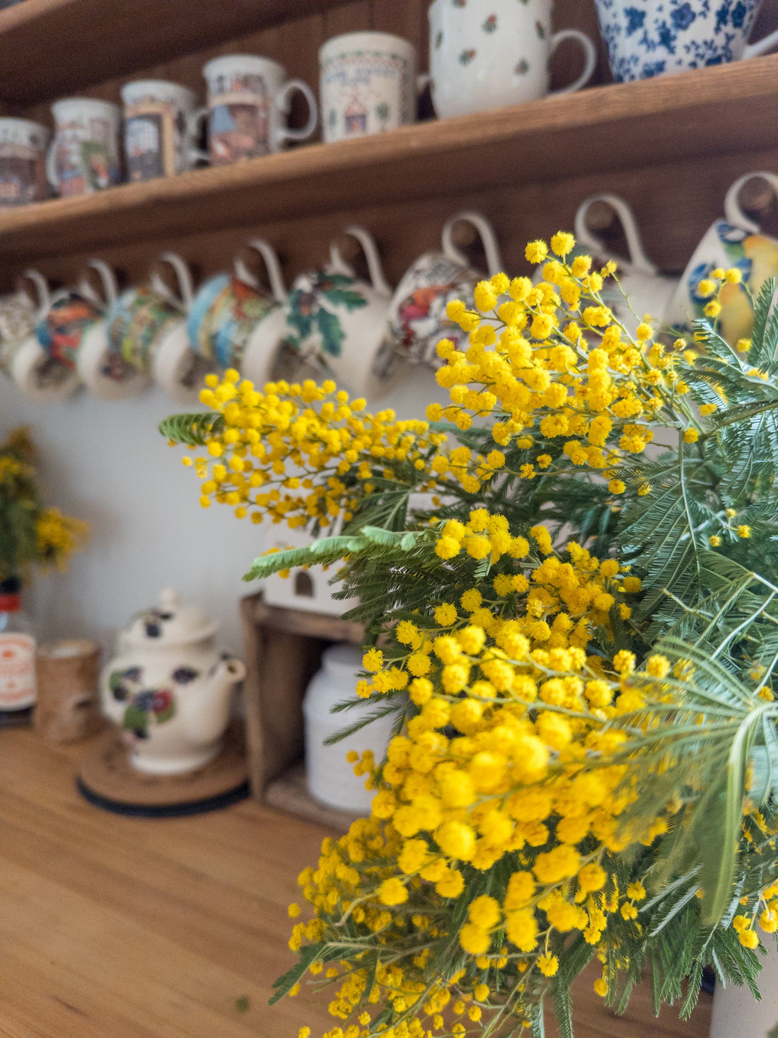 Mon journal de février 2025 ❄ Digital detox, Eté Cosy, projets… je vous raconte ce que j'ai fait durant ce mois !