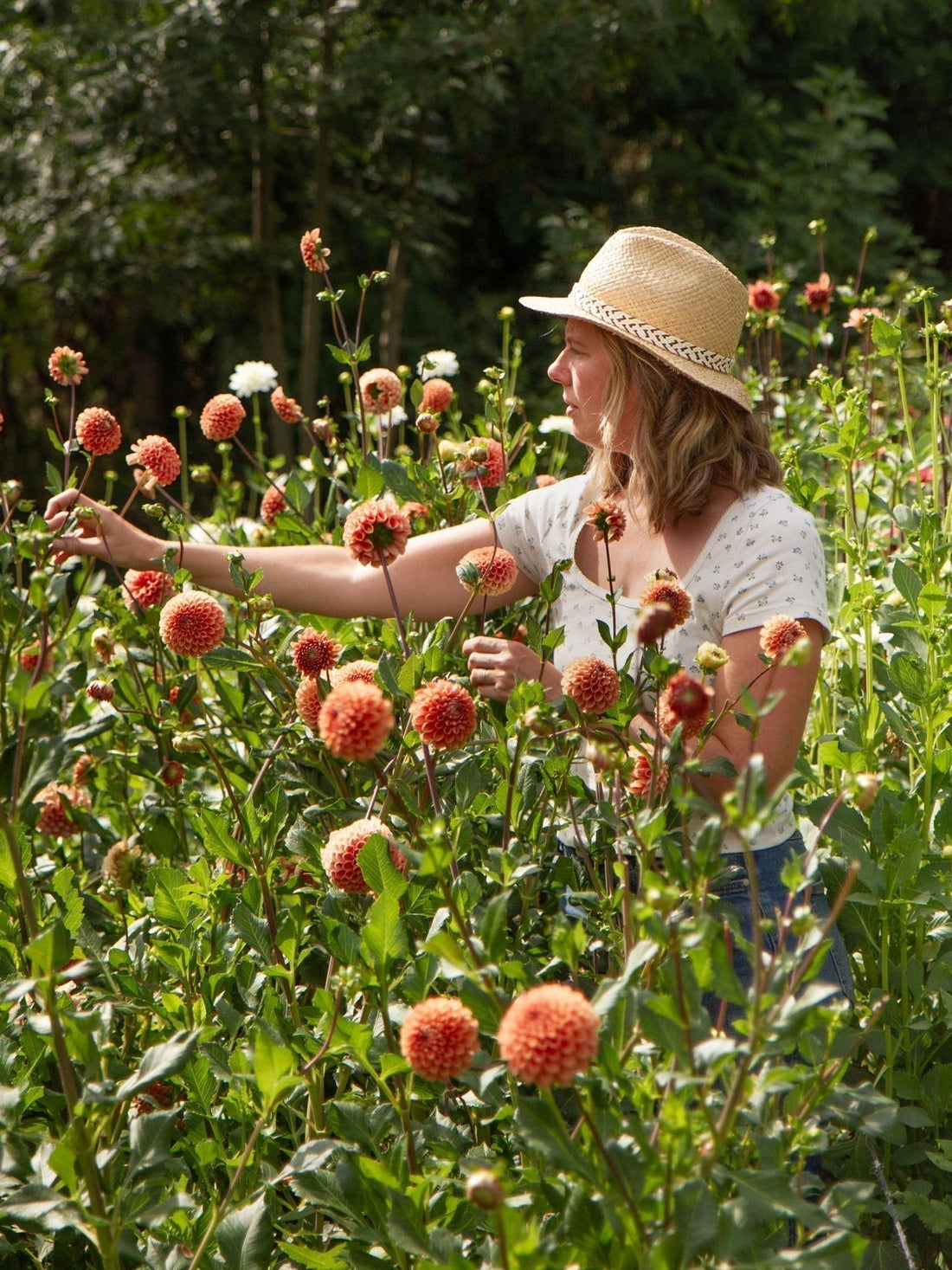 La newsletter d'août 2025 🌻 Vacances belges, calendrier et automne qui arrive