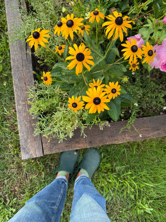 Mon journal de juillet 2025 ☀ Calendrier, farniente et vacances !