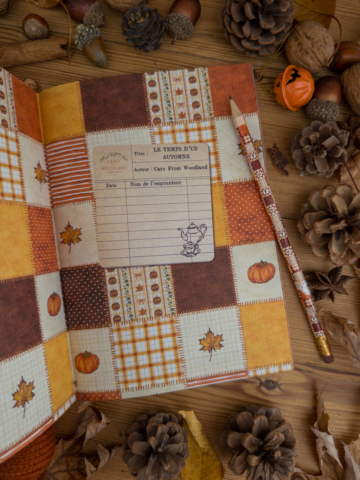 Cahier de jeux - Le temps d'un automne