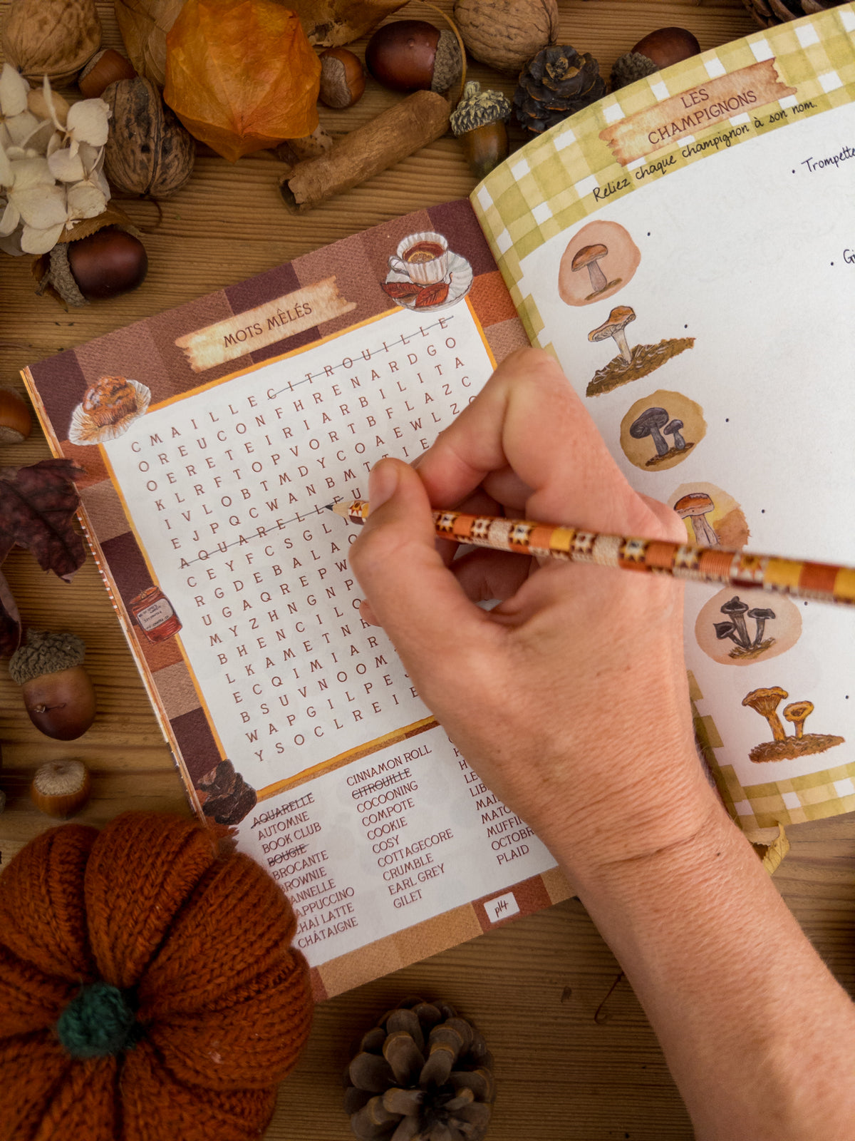 Cahier de jeux - Le temps d'un automne