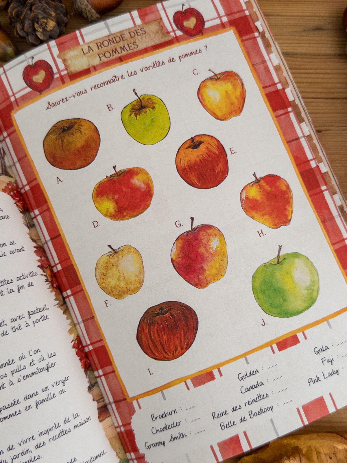 Cahier de jeux - Le temps d'un automne